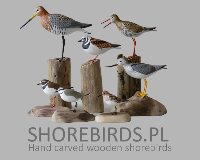 Hand carved shorebirds